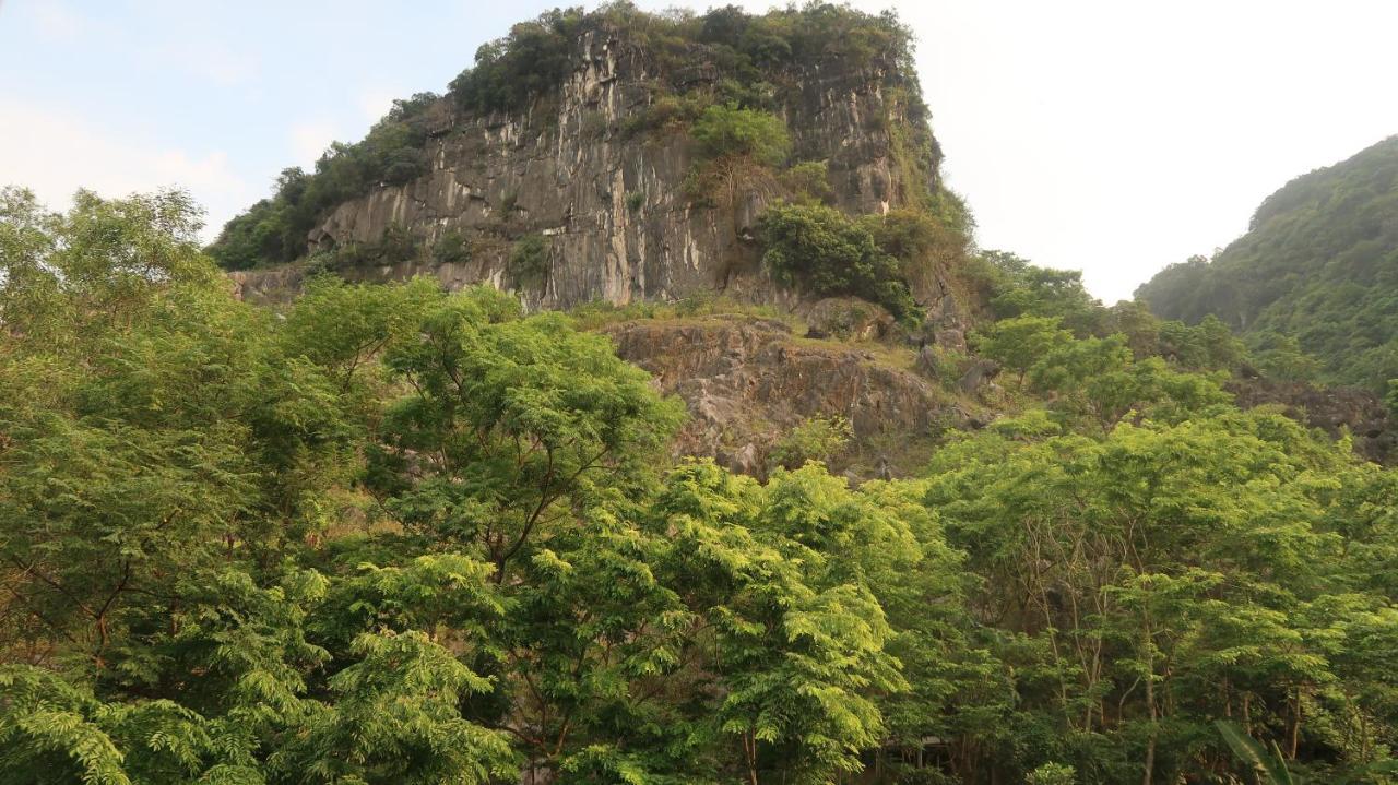 Hoan Chau Homestay Фонгня Экстерьер фото