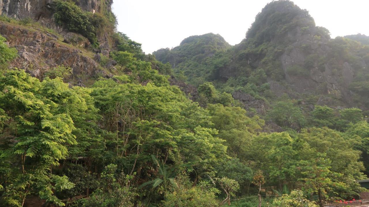 Hoan Chau Homestay Фонгня Экстерьер фото
